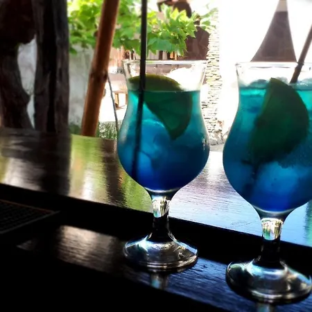 Coral Guest house 3*