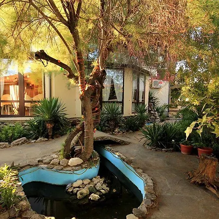 Guest house Coral 3*